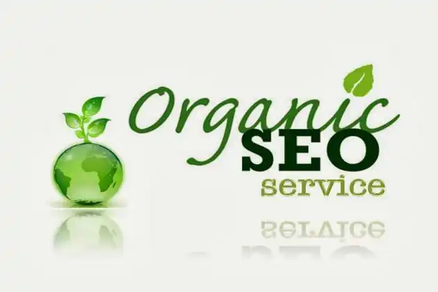 Organic SEO