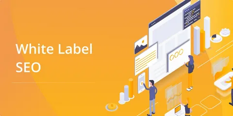 White label SEO services for agencies to deliver expert SEO solutions under their brand